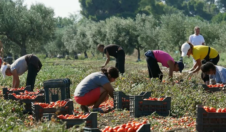 Des films pour éveiller les consciences