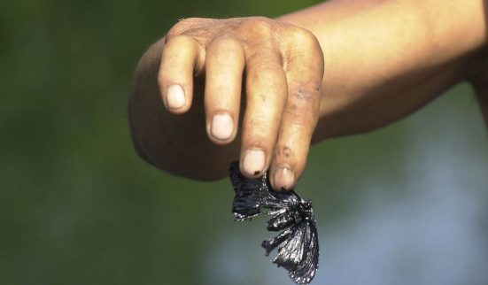 Écocides: en finir avec l’impunité