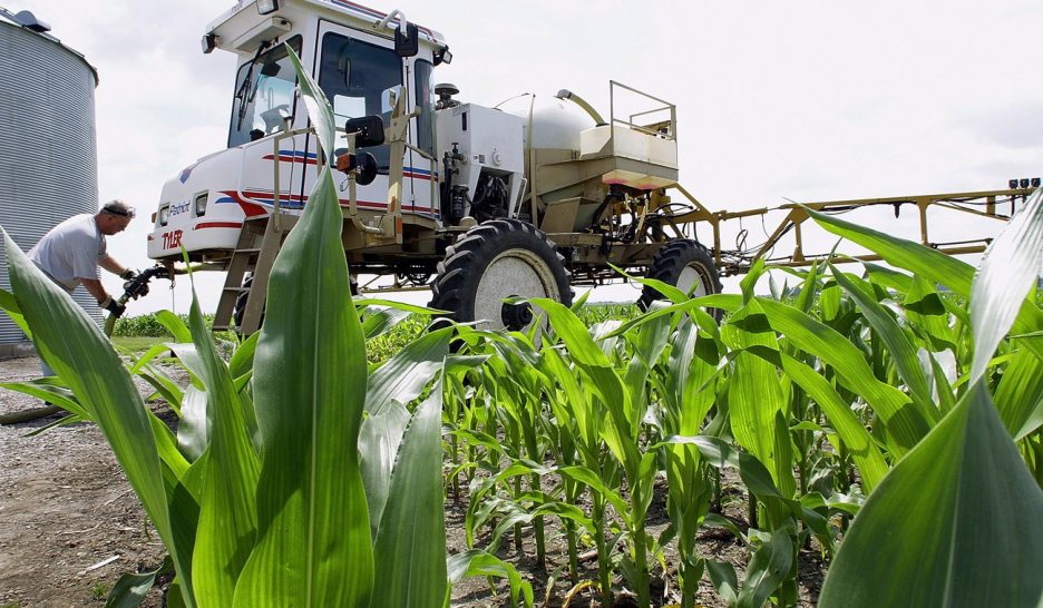 Le Conseil d’Etat veut limiter le glyphosate