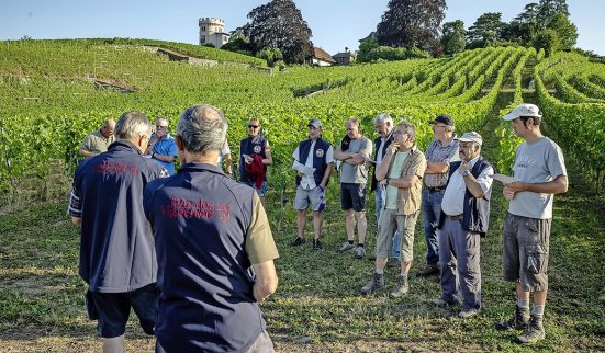 Pas toujours simple, le bio