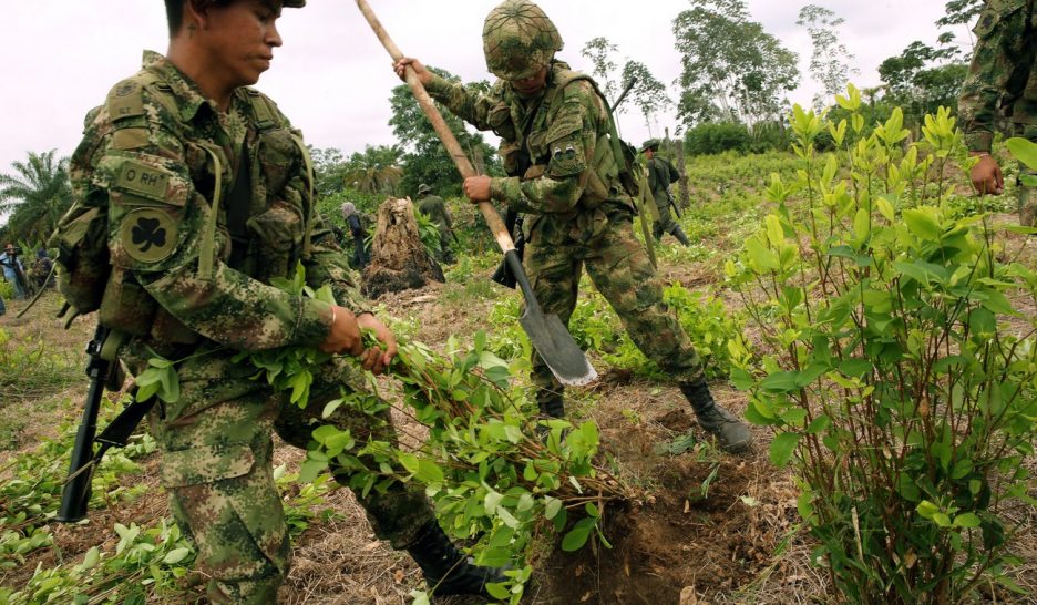 Paysans dépendants de la coca