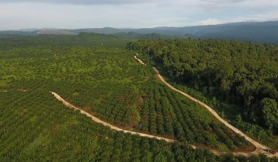 Tuées pour avoir défendu l’environnement