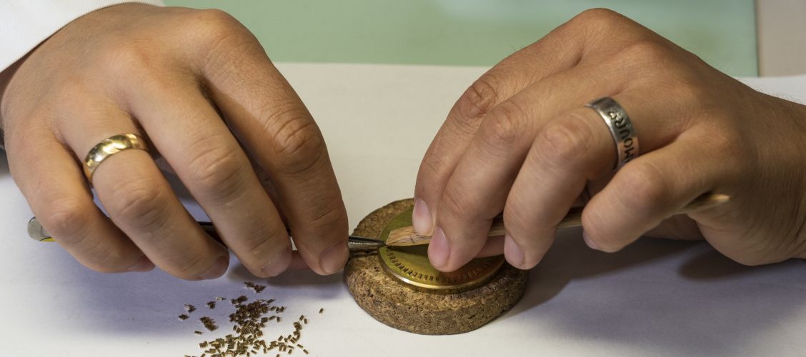 A l’heure pour la réinsertion 3