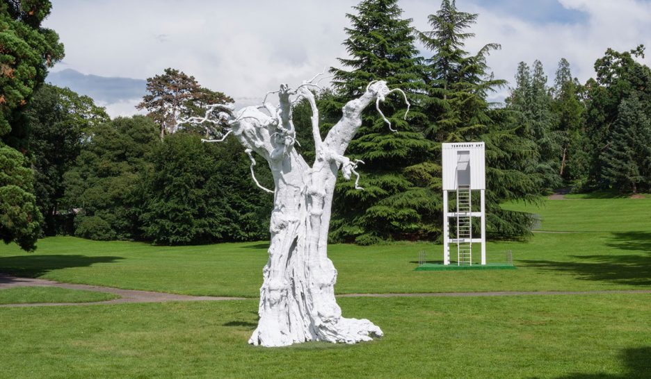 Biennale light à l’ombre des conifères