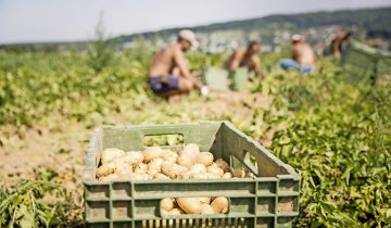 Les contrôles débattus