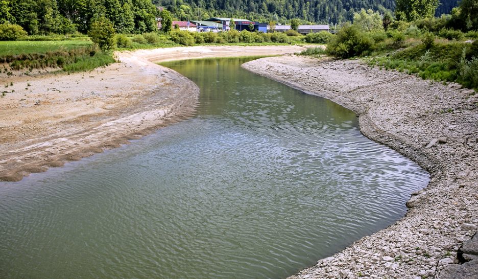 Les poissons meurent de chaud 1