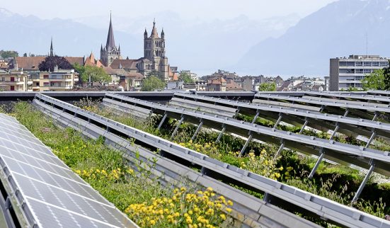 Nouvelle impulsion pour les toits verts