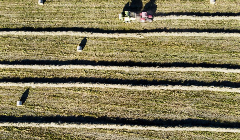 Pas touche au traitement des cultures