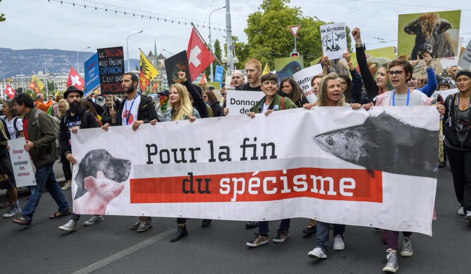 «Solidarité avec tous les animaux» 1