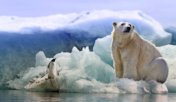 Une exposition qui jette un froid