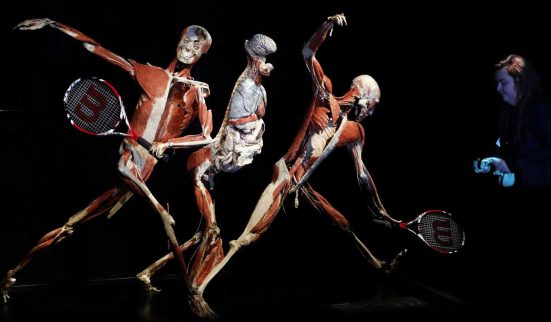 Pas de cadavres exposés à Beaulieu