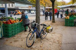 Quasi-unanimité pour la promotion du commerce de détail genevois