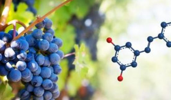 Un composant du raisin pour prévenir le cancer du poumon