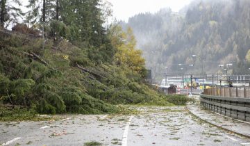 Vaia balaie les Grisons et le Tessin