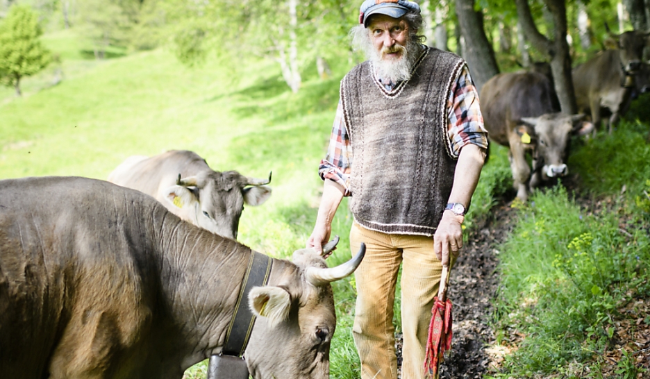 Vers deux «oui» et un «non»