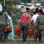 Argent, nerf de la paix en Colombie