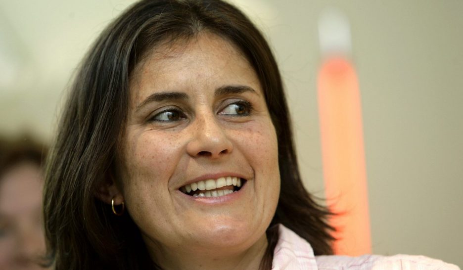 La culture élit ses représentants