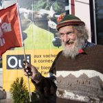 Pas un sou pour les vaches à cornes