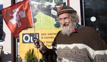 Pas un sou pour les vaches à cornes