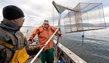 Les poissons se font plus rares