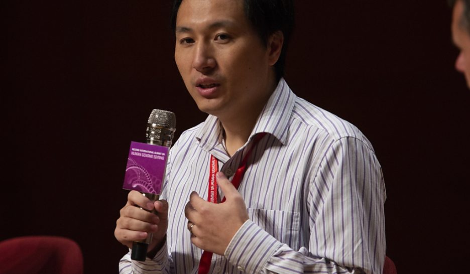 Pekin met le holà aux bébés OGM