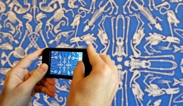 Arts visuels: une appli fait le tri