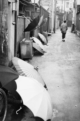 Sur les traces de Nicolas Bouvier au Japon