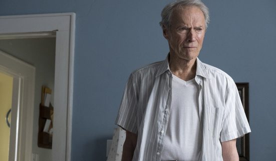 Tête de mule au crépuscule