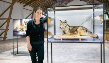 Luzia Hürzeler. Loup y es-tu?