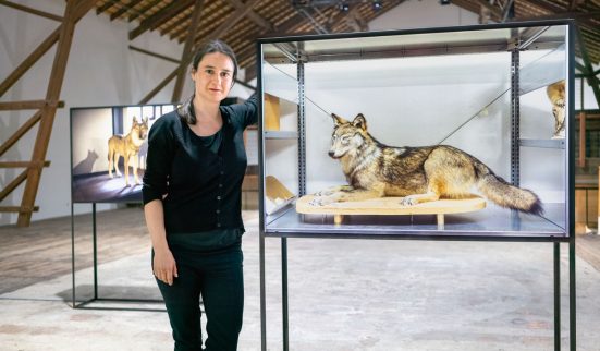 Luzia Hürzeler. Loup y es-tu?