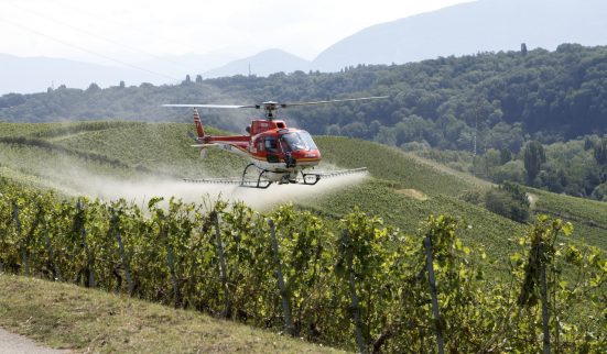 Pesticides sous le feu