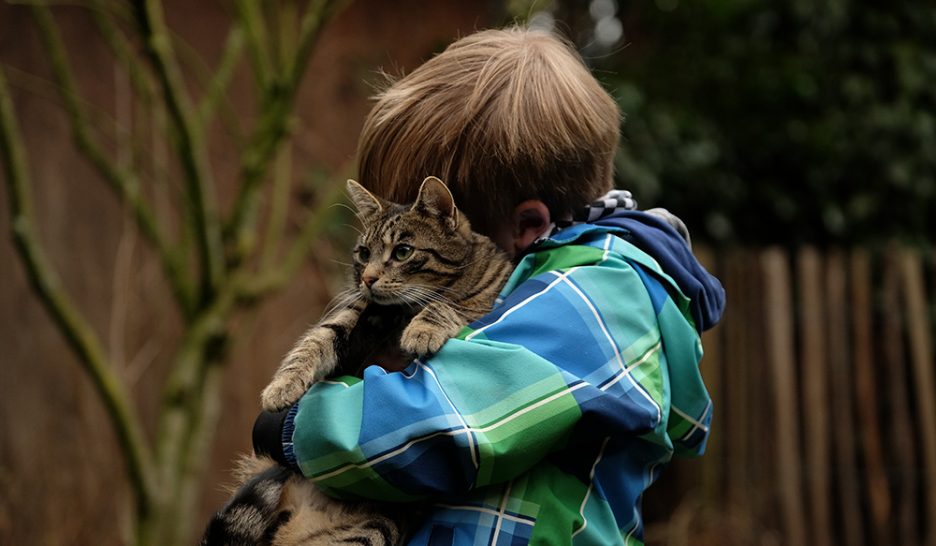 Des chats virés de l’école