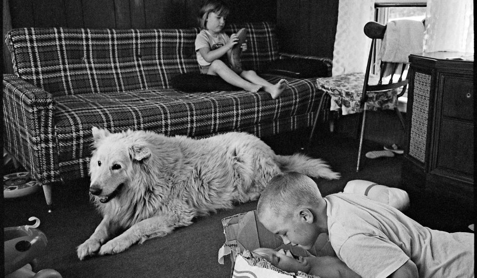 L’empathie d’un regard