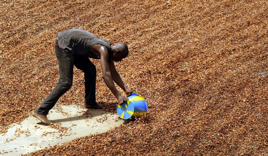 Les multinationales sans garde-fous