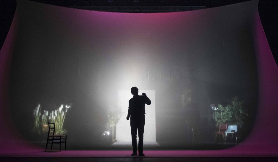 Bergman, les coulisses des écrans