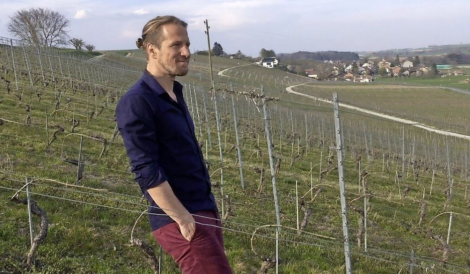 Tâcheron de la création