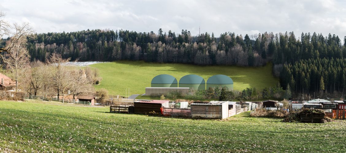 Biogaz à profusion dans les pâturages 1