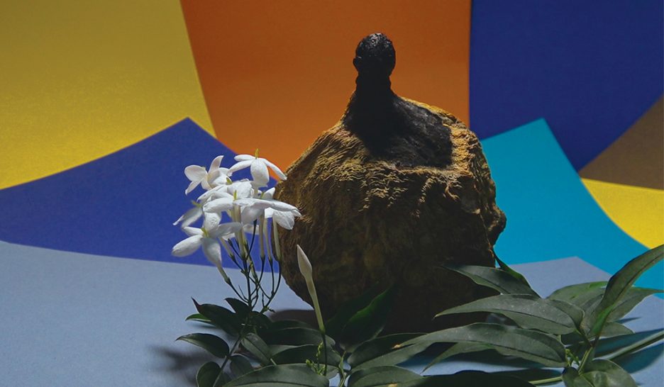 La vie comme une toupie