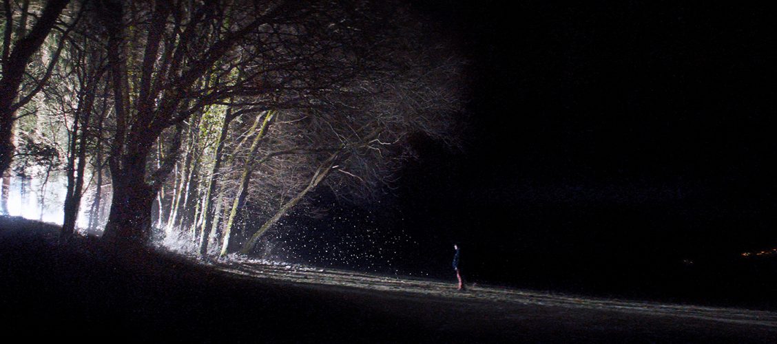 Le NIFFF, miroir déformant du monde