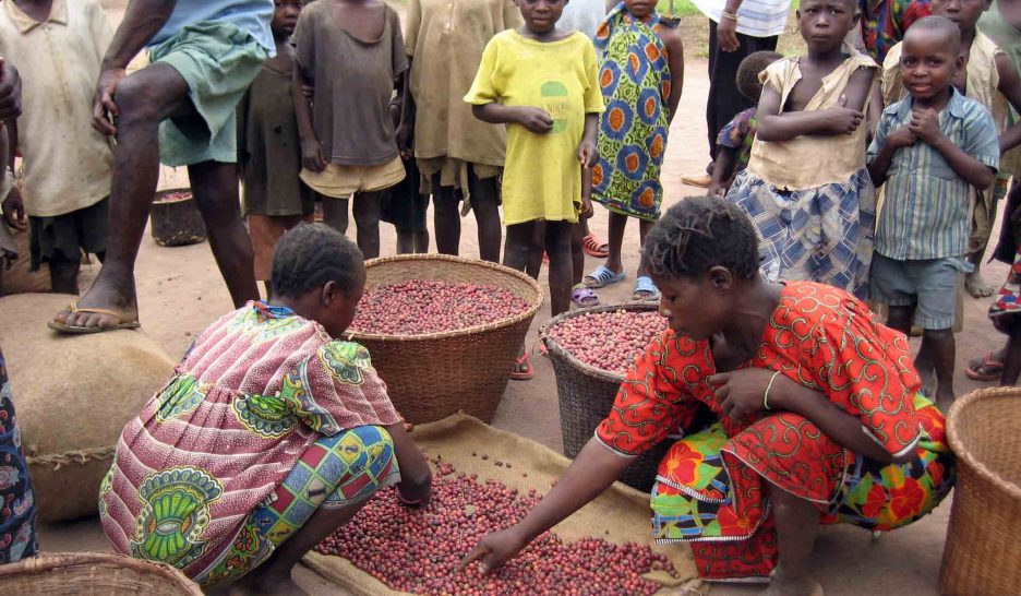 Vers un paysan africain souverain