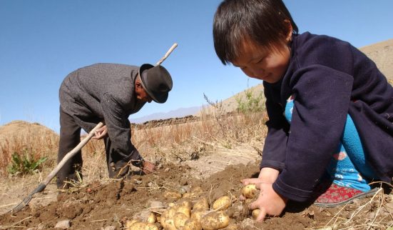 Chambardement pour les ONG
