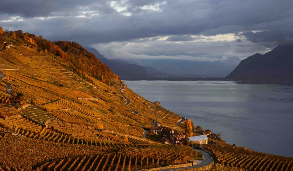 Lavaux, la marque des moines