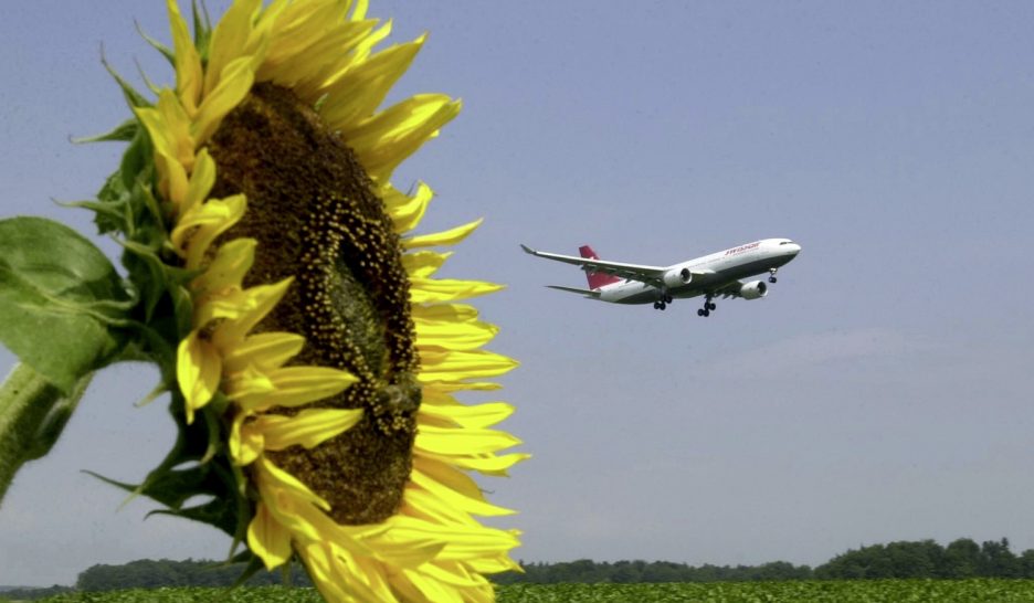 Brise favorable pour les écologistes 1