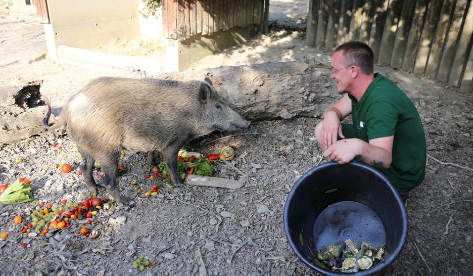 Dans les coulisses du parc animalier