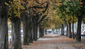 De l’eau et des arbres pour une ville plus fraîche