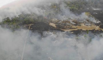 Des incendies ravagent l’Amazonie