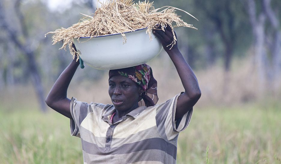 «Ils disent apporter le développement»