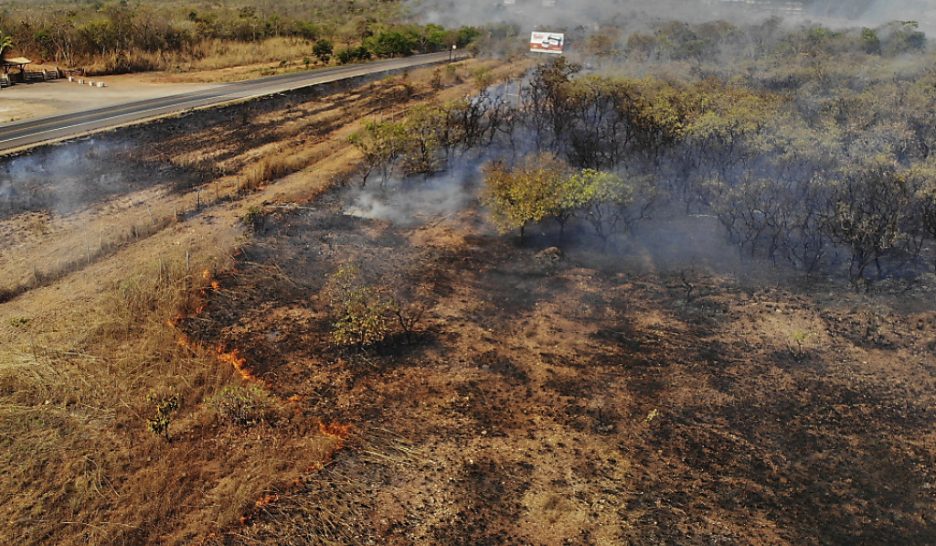 L’Amazonie, clé de la stabilité climatique