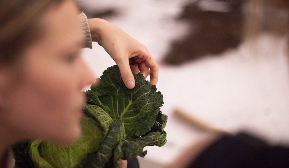 Le festival des arts vivants de Nyon défend la nature