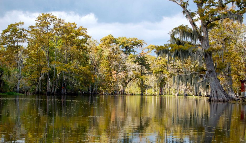 L’implacable conteur du bayou